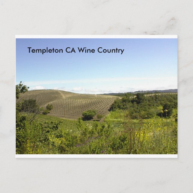 Templeton CA Weinland Postkarte (Vorderseite)