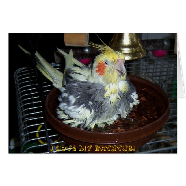 Temps de Bath (Devant horizontal)