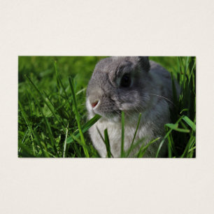 Temps de casse-croûte