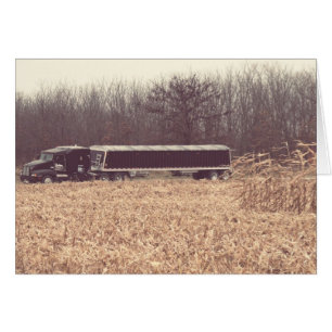 Temps de récolte du maïs