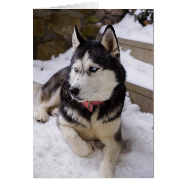 Temps De Repos (Devant)