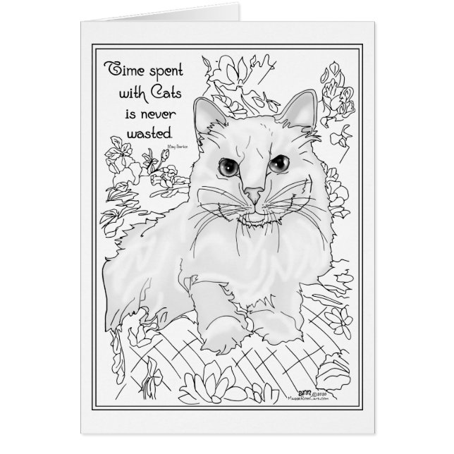 Temps passé avec des chats (Devant)