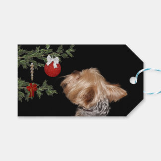 Tempted Yorkie Christmas Geschenkanhänger