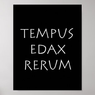 Tempus edax rerum poster