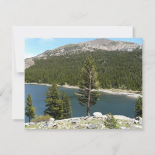 Tenaya Lake im Yosemite National Park