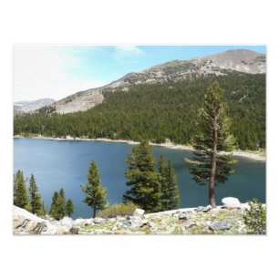 Tenaya Lake im Yosemite National Park Fotodruck