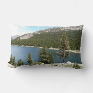 Tenaya Lake im Yosemite National Park Lendenkissen