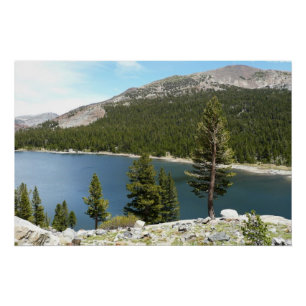 Tenaya Lake im Yosemite National Park Poster