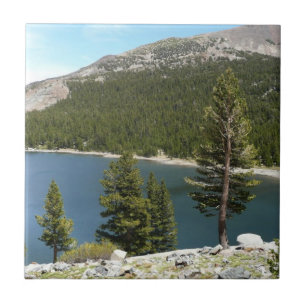 Tenaya Lake im Yosemite-Nationalpark Fliese