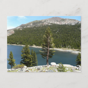 Tenaya Lake on Yosemite National Park Postkarte