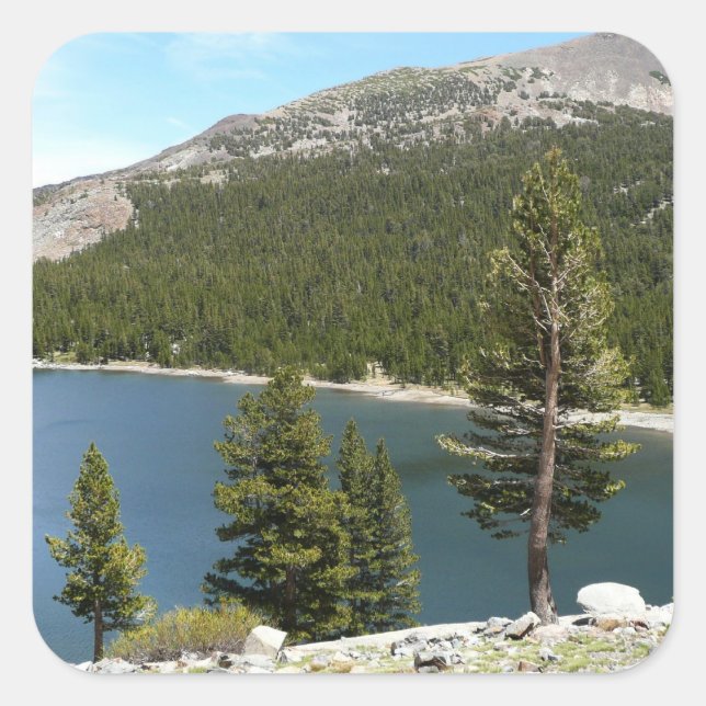 Tenaya Lake on Yosemite National Park Quadratischer Aufkleber (Vorderseite)