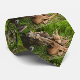 Tender Mother Moose Krawatte