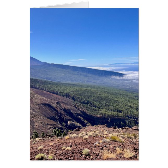 Tenerife Blick (Vorne)