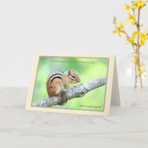 Tenez-Vous ! Chipmunk oriental : carte