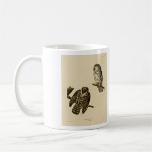 Tengmalms (boreal) Owl Audubons Vögel von Amerika Kaffeetasse