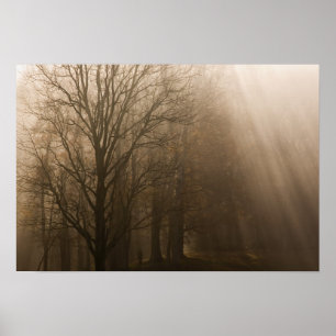 Tennessee-Bäume im Nebel   Great Smoky Mountain Poster