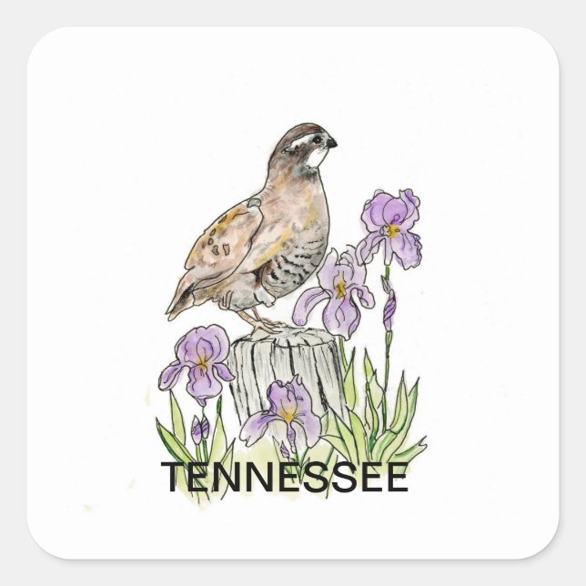 Tennessee-Blume Quadratischer Aufkleber (Vorderseite)