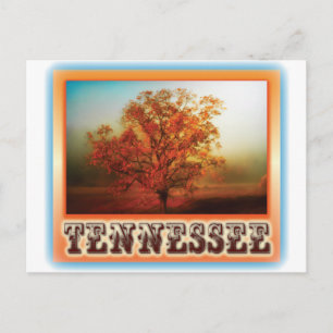 Tennessee-Fall-Baum-Szene Postkarte