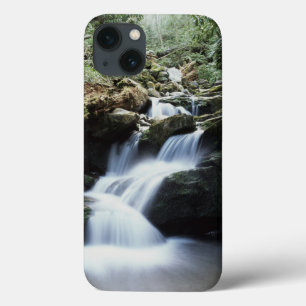 Tennessee, Great Smoky Mountains National Park 3 Case-Mate iPhone Hülle