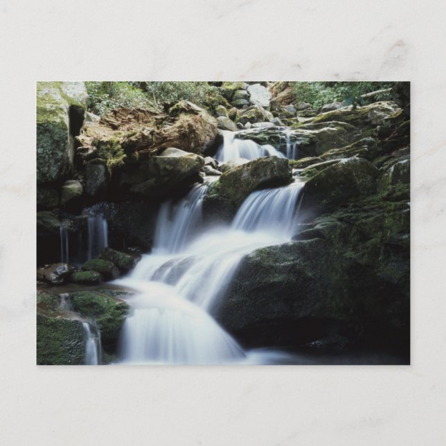 Tennessee, Great Smoky Mountains National Park 3 Postkarte (Vorderseite)