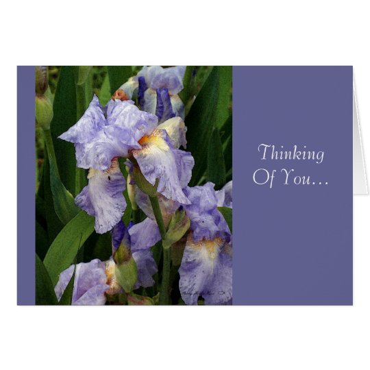Tennessee-Iris Karte