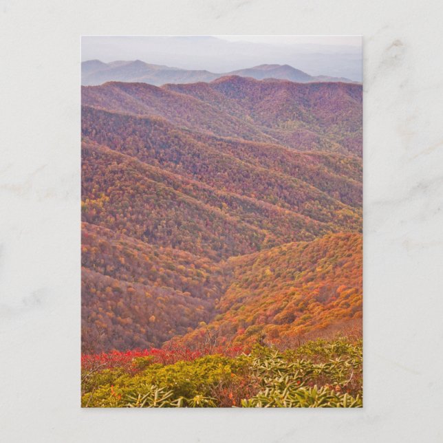 TENNESSEE POSTKARTE (Vorderseite)