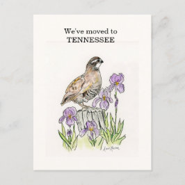 Tennessee Postkarte