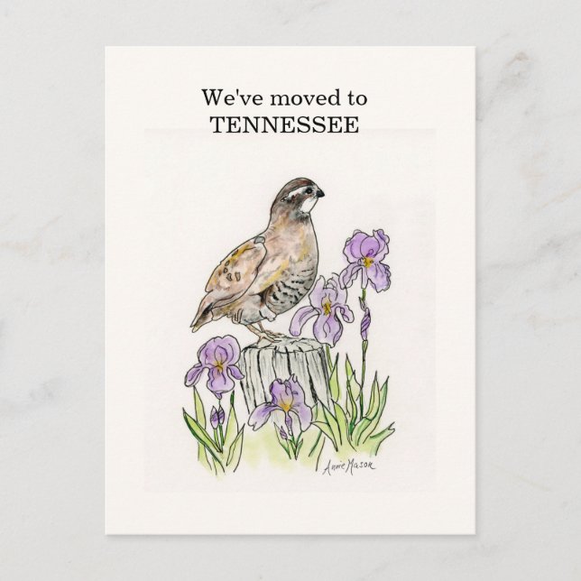 Tennessee Postkarte (Vorderseite)