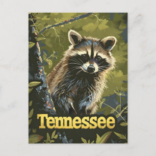 Tennessee Raccoon Postkarte