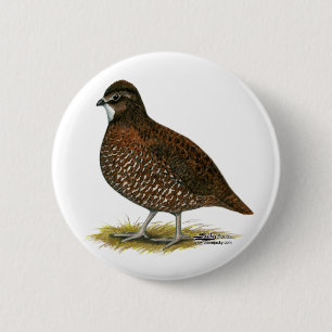 Tennessee Red Quail Button