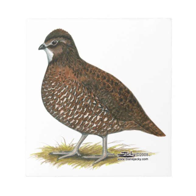 Tennessee Red Quail Notizblock (Vorderseite)