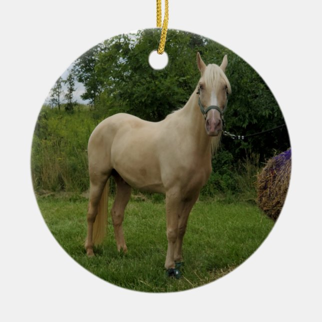 Tennessee Walking Horse ornement (Devant)