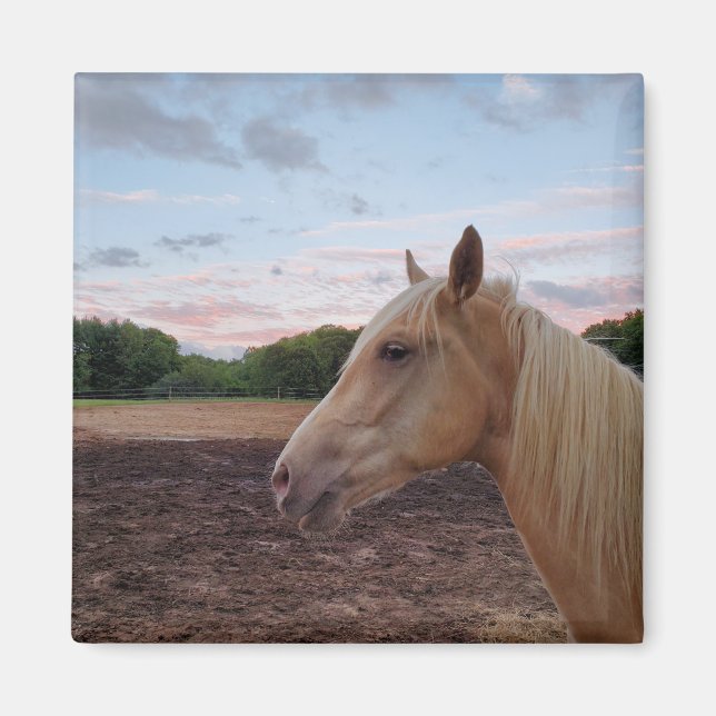 Tennessee Wanderross Magnet (Vorne)