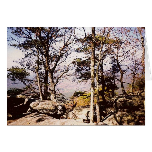 Tennessee Wilds (Vorderseite (Horizontal))