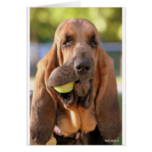 Tennis, n'importe qui ?