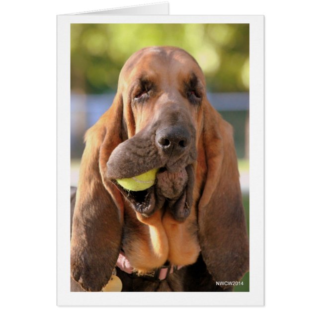 Tennis, quelqu'un ? (Devant)