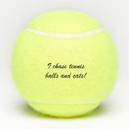 Tennisball für den Hund Tennisbälle