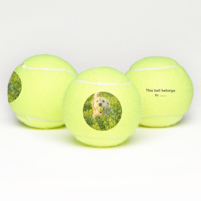 Tennisball für Hund mit Bild und Name Tennisbälle (Multi)