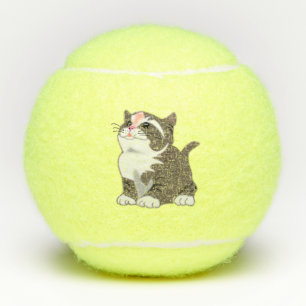 Tennisbälle mit Kitten - Babykatze