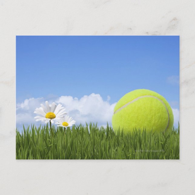 Tennisbälle Postkarte (Vorderseite)