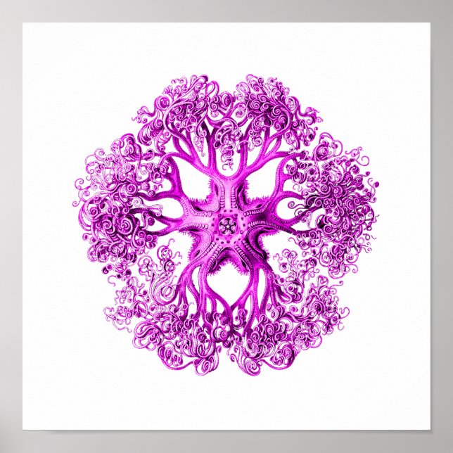 Tentacelabschnitt in rosa poster (Vorne)