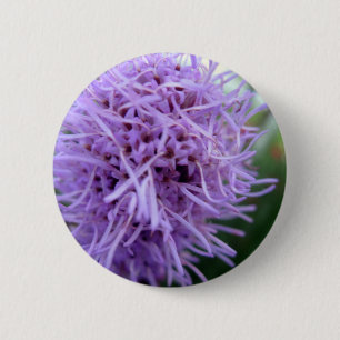 Tentacle Spider Violet Blume Button