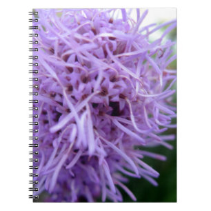 Tentacle Spider Violet Blume Notizblock