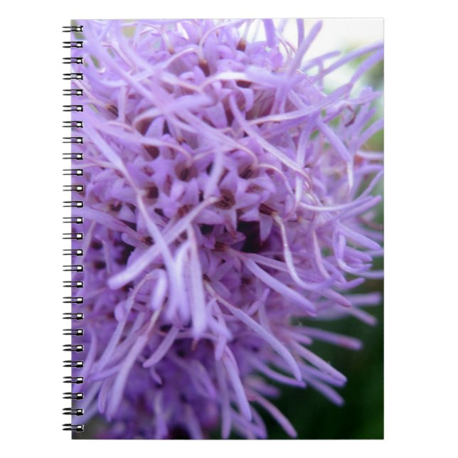 Tentacle Spider Violet Blume Notizblock (Vorderseite)