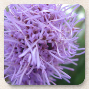 Tentakel Spinne Violette Blume Untersetzer