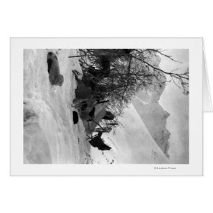 Tente et objets de l'explorateur sur le site du ca