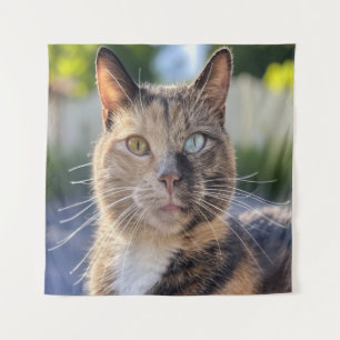 Tenture Ajouter une Personnaliser photo de chat