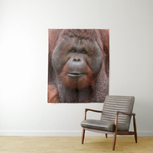 Tenture Âme sous les bajoues – Visage d'orang-outan