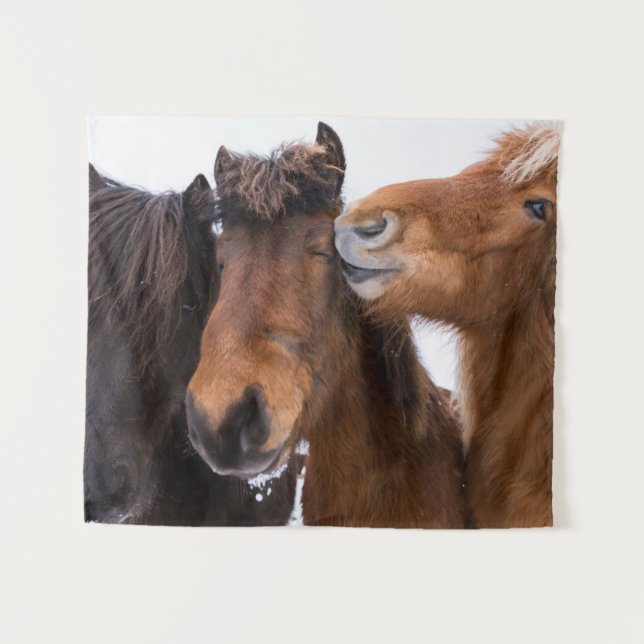 Tenture Amis islandais du cheval, Islande (Devant (Horizontal))