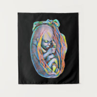 Anatomie Humaine Art Abstrait Baby In The Womb